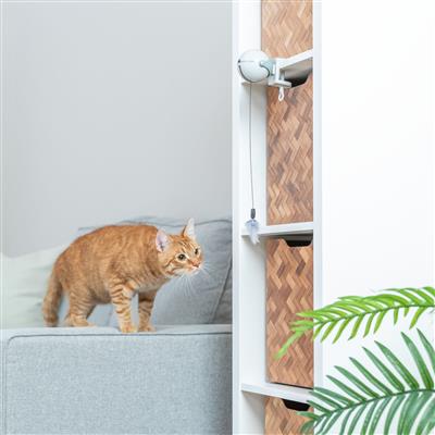 Catch It Interactive Cat Toy