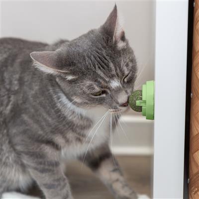 Catnip Rotating Ball For Cats