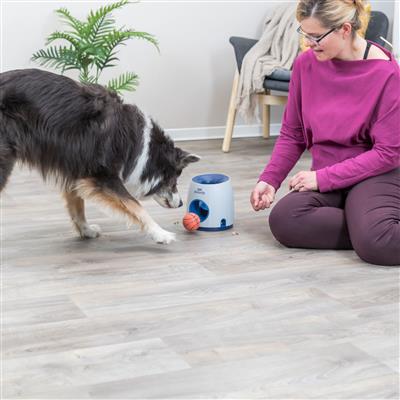 Dog Activity Ball & Treat Strategy Game