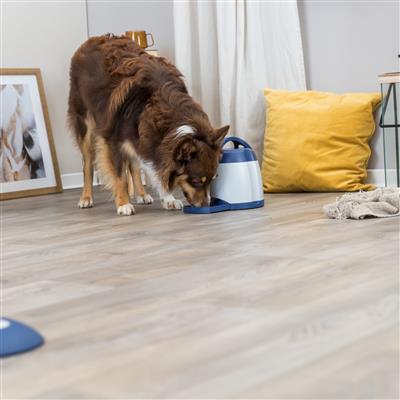 Dog Activity Memory Trainer 3.0