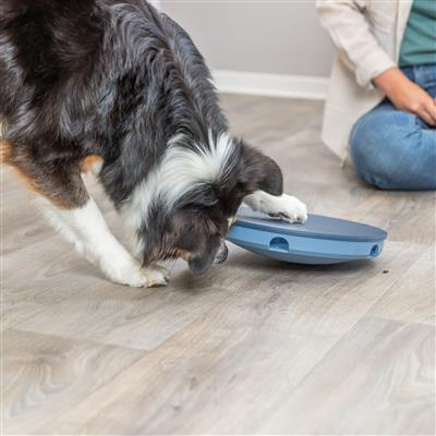 Dog Activity Rocking Maze Dog Strategy Game