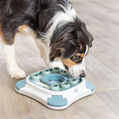 Dog Activity Slide, Paw, & Lift