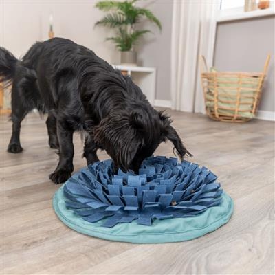 Dog Activity Snuffle & Seek Bowl
