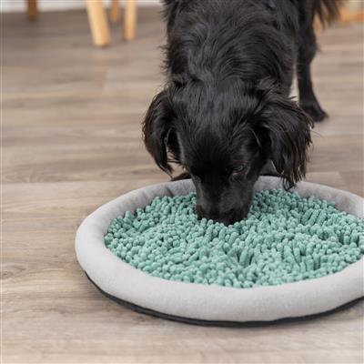 Dog Activity Snuffle & Seek Plate