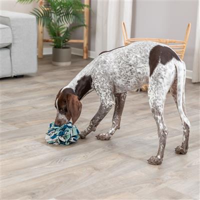 Dog Activity Snuffle Ball