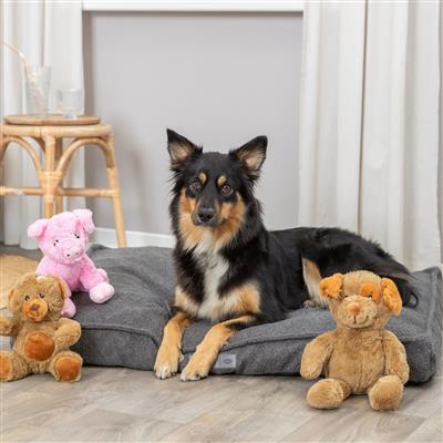 Eddy The Teddy Plush Dog Toy