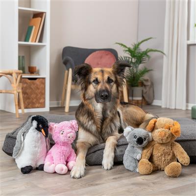 Elly The Koala Plush Dog Toy