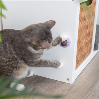 Gall Fruit Rotating Ball For Cats