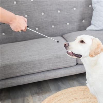 Target Stick With Clicker