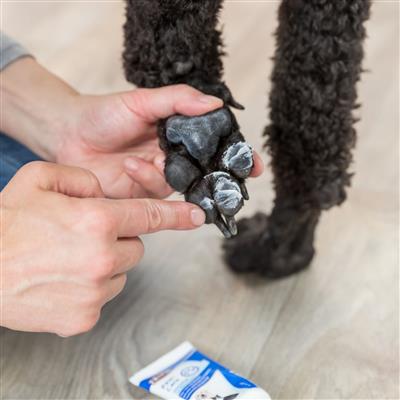 Paw Care Lotion, 1.7 Fl Oz (50 Ml)