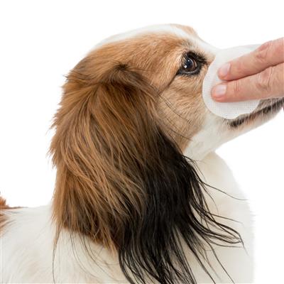 Pet Eye Care Wipes, 100 Ct