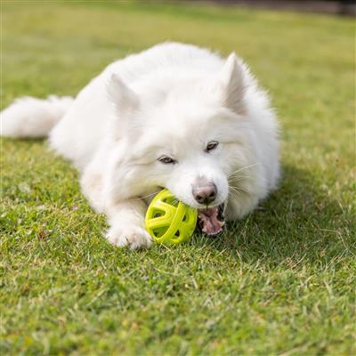 Honeycomb Rugby Dog Fetch Toy