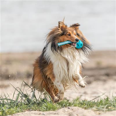 Honeycomb Tug'N Fetch Ball Dog Toy