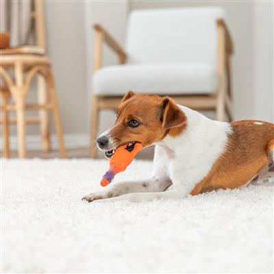 Squeaky Duck Dog Toy