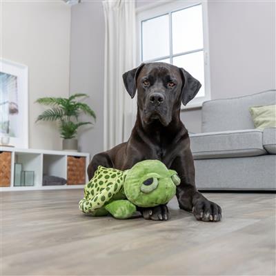 Sleepy Turtle Plush Dog Toy