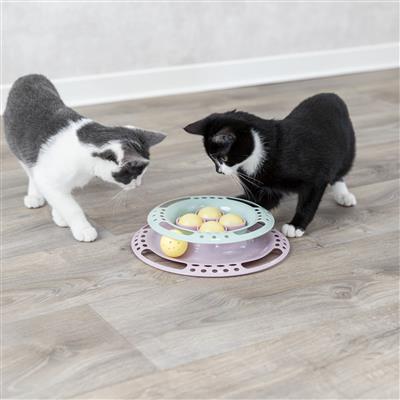 Junior Kitten Circle Track