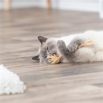 Silvervine Stick With Tassels Cat Toy