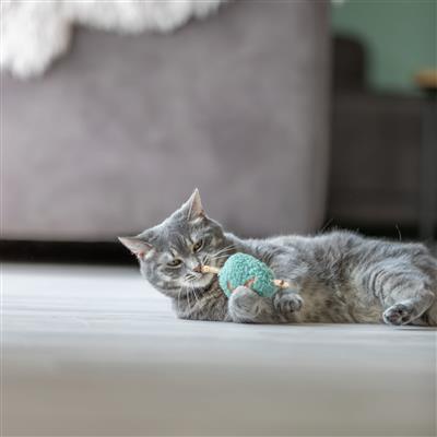 Silvervine Heart Cat Chew & Play Toy