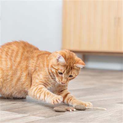 Silvervine Fish Cat Chew Toy