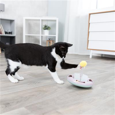 Junior Kitten Snack & Play