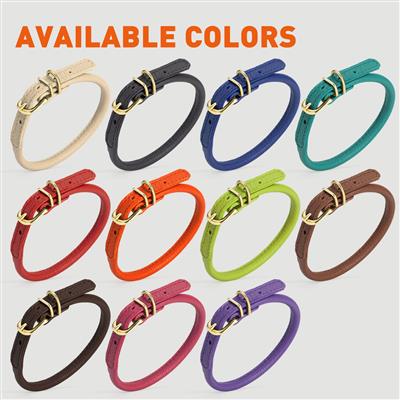 Soft Rolled Leather Dog Collar with Brass Hardware