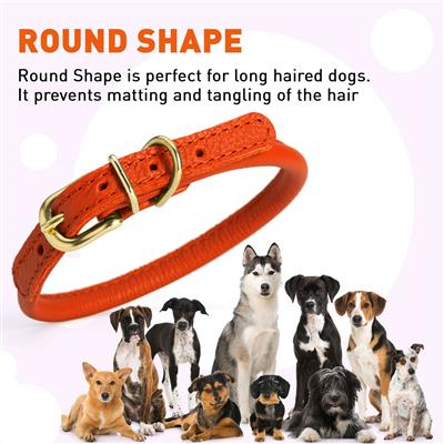 Soft Rolled Leather Dog Collar with Brass Hardware