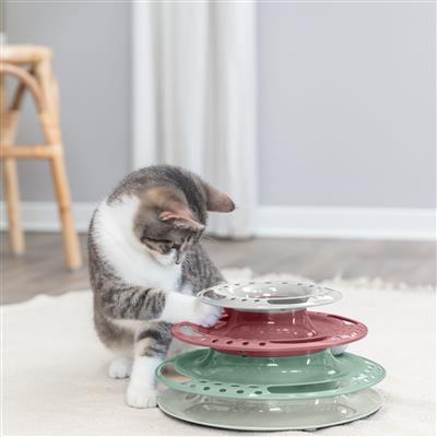 Catch The Balls Circle Track