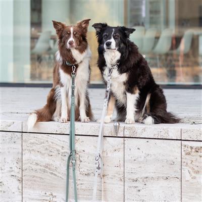 Citystyle Hands-Free Dog Leash