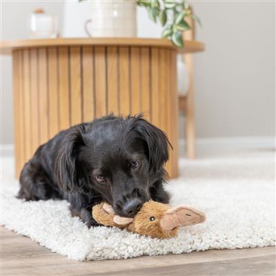 Edgar The Platypus Plush Dog Toy