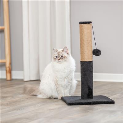 Ella Scratching Post