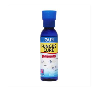 API Fungus Cure 1ea/4 oz.