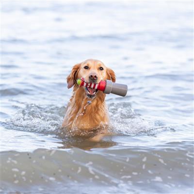 Lighthouse Aqua Toy For Dogs