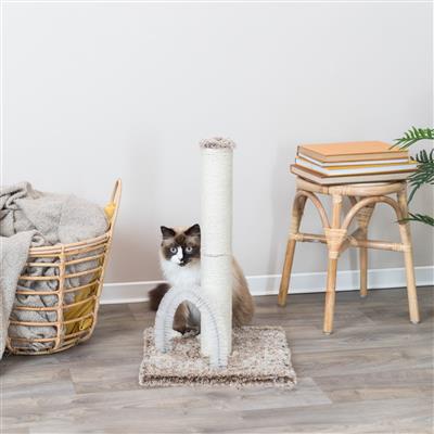 Lola Scratching Post