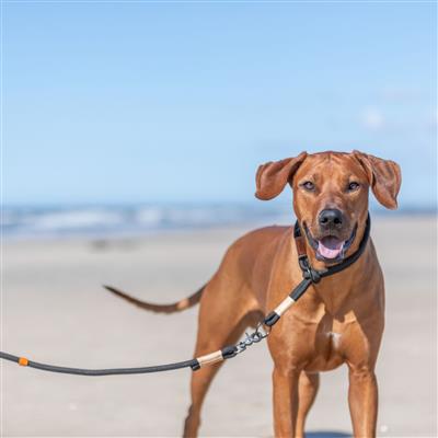 Riverstone Slip-Stop Collar, Black/Sand