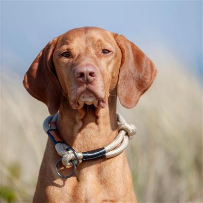 Riverstone Slip-Stop Collar, Sand/Black