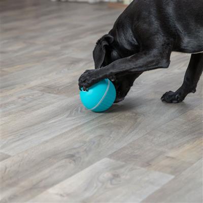 Treat Tumbler Snack Ball