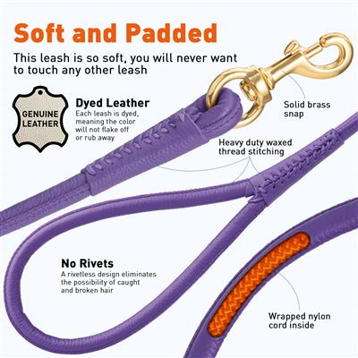 Dogline Rolled Leather Dog Leash with Brass Snap Hook