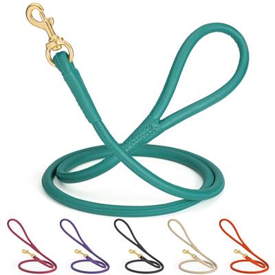 Dogline Rolled Leather Dog Leash with Brass Snap Hook