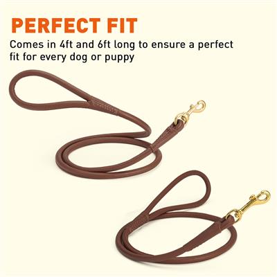 Dogline Rolled Leather Dog Leash with Brass Snap Hook