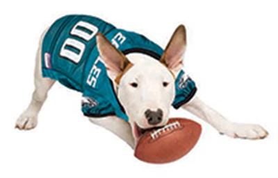 Philadelphia Eagles Pet Striped Jersey
