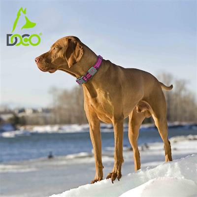 DOCO® VARIO D-Ring Collar