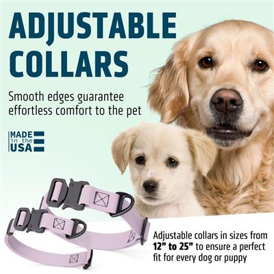 BioThane Dog Collar with Stab-Lock Quick Release Buckle