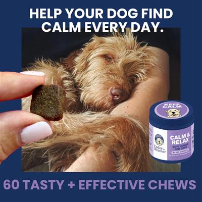 Under the Weather Calming Soft Chew 60ct