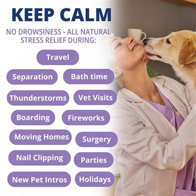 Under the Weather Calming Soft Chew 60ct