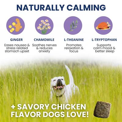 Under the Weather Calming Soft Chew 60ct