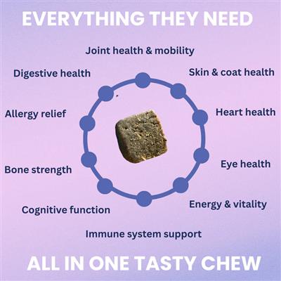 Under the Weather Multivitamin Soft Chew 60ct