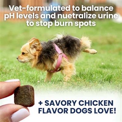 Under the Weather Nice Grass Soft Chew 60ct