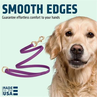 Viper Pebble Emboss BioThane Dog Leash with Solid Brass Hardware, 5 ft