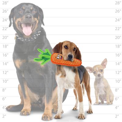 Tuffy® Funny Food Carrot