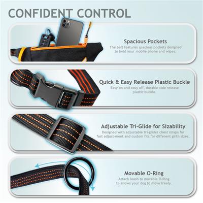 DOCO® Reflective Jogging Belt  w/Reflective Bungee Leash